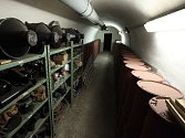 Podzemní bunkr Folimanka byl vybudován na přelomu 50. a 60. let 20. století jako největší z krytů civilní ochrany na území Prahy 2. Kryt má kapacitu 1300 osob a rozlohu 133 metrů čtverečních.