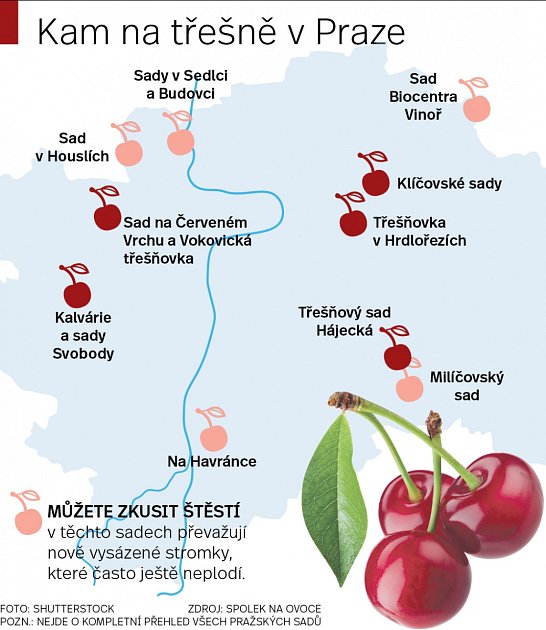 Kam v Praze na třešně.