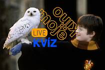 Projekt Moje kino live dnes večer nenabízí žádný film, ale online kvíz na téma Harry Potter.