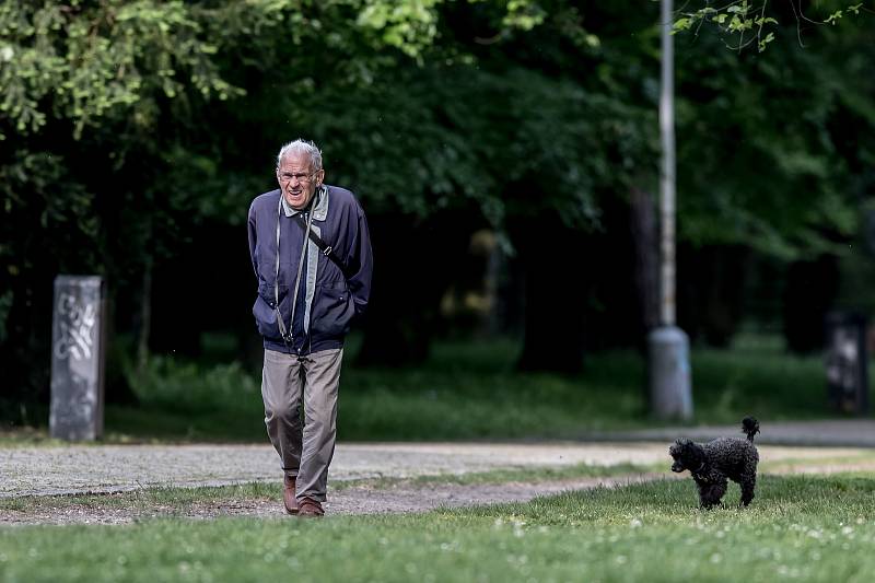 Venčení psů v pražské Stromovce 23. května.