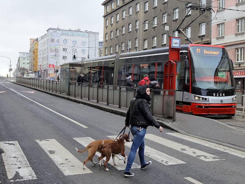 Tramvajová zastávka Biskupcova