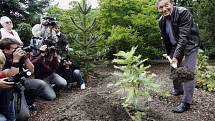 VZNEŠENÁ ROSTLINA. Karel Gott vysadil v areálu Pražské botanické zahrady v Troji Wollemii vznešenou v rámci projektu Kořeny osobností v botanické zahradě.