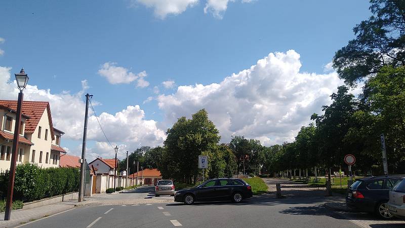 Zámecká zahrada v Brandýse nad Labem.