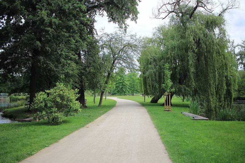 Na 95 hektarech se rozkládá Královská obora.