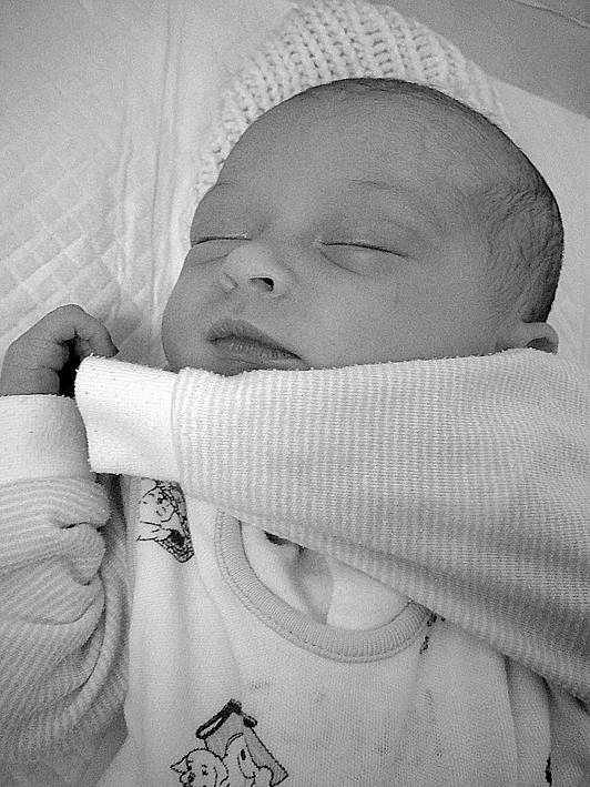 Natálie Nela Budzinová, 27. 12. 2008, 49 cm, 2890 g, Fakultní Thomayerova nemocnice