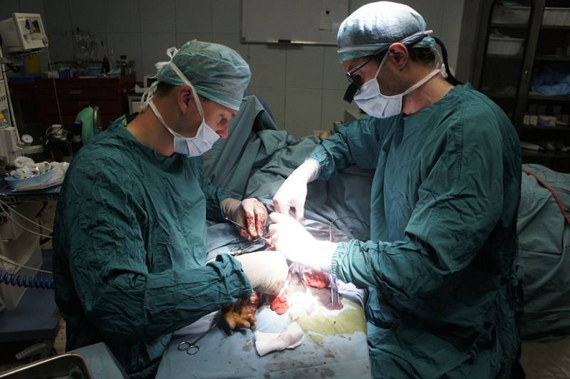 MUDr. Ondřej Měšťák, lékař z Kliniky plastické chirurgie Nemocnice Na Bulovce, se nedávno vrátil z 10denní mise v Jordánsku.