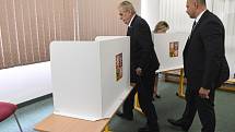 Miloš Zeman u voleb do Evropského parlamentu
