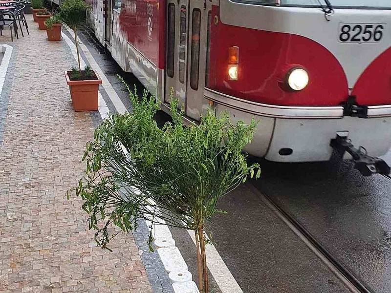 Nové řešení částečně uzavřeného Smetanova nábřeží, kdy betonové zátarasy nahradily květináče se stromky, vyvolává úsměvné reakce.