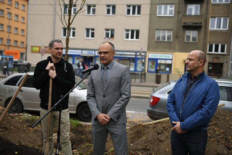 Sázení stromů v Sokolovské ulici.