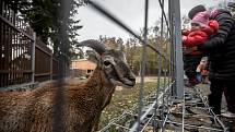 Slavnostní otevření zookoutku Divoká zahrada v pražském Hostivařském lesoparku