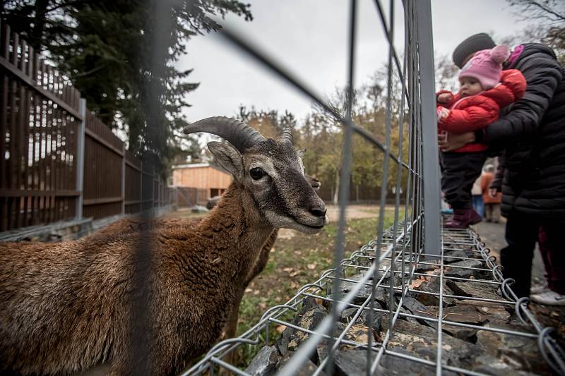 Slavnostní otevření zookoutku Divoká zahrada v pražském Hostivařském lesoparku