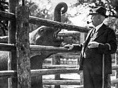 Profesor Jiří Janda s prvním slonem pražské zoo Babym (Bejbym).
