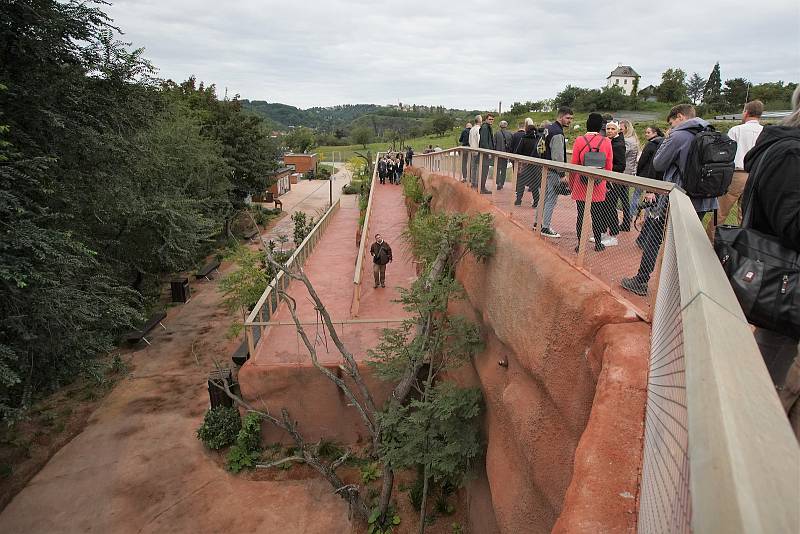 Rezervace Dja – nový pavilon goril v Zoo Praha