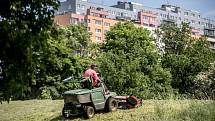 Městská část Praha 8 se dlouhodobě potýká s neposekanou trávou na jejích území. Konkrétně na sídlišti Troja, nad botanickou zahradou, se začalo 23. května sekat, ale na většině ploch zůstávala vysoká tráva.