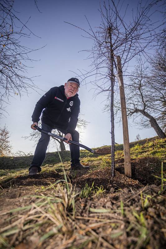 Karel Loprais vysadil svůj strom v pražské botanické zahradě.