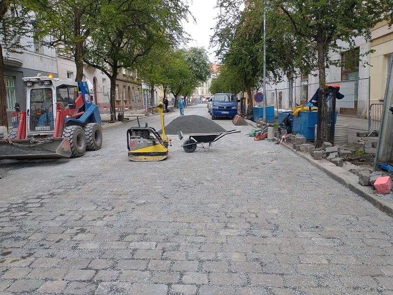 Rekonstrukce Jaselské ulice v Praze 6 se stala předmětem kritiky kvůli necitlivému přístupu ke stromům.