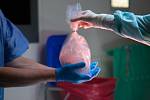  V IKEM začala mezistátní řetězová transplantace ledvin.