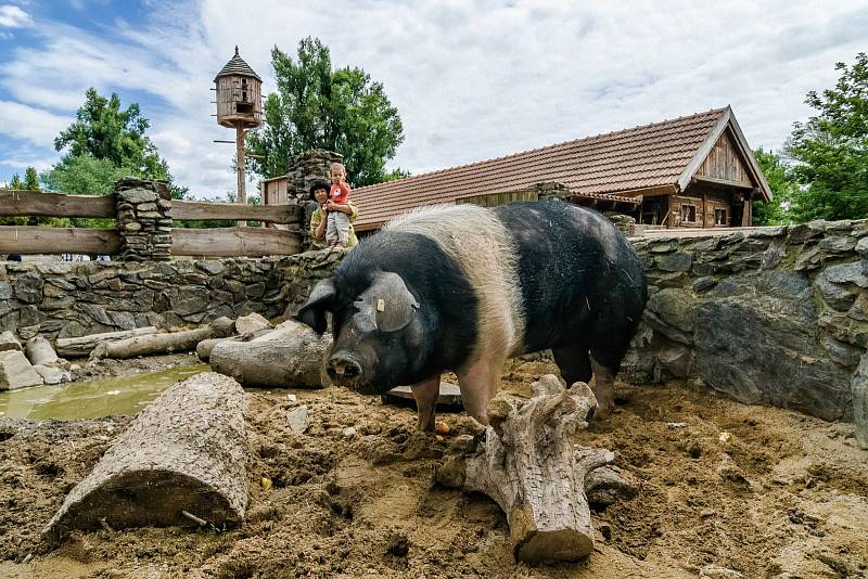 Areál Zoo Praha, který se díky své oblíbenosti dostal na světovou špičku.