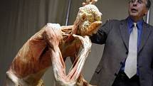 OBHÁJCE. Americký anatom Roy Glover s jedním z plastinátů.