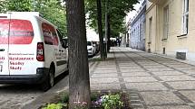 Magistrátní Institut plánování a rozvoje ukazuje dobrý příklad péče o městskou zeleň. Na snímku je rabátko v Bubenečské ulici.