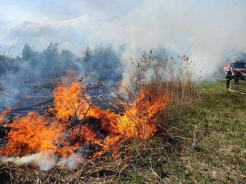 Požár travnatého a křovinatého porostu v blízkosti firmy Linde Gas v pražských Kyjích.