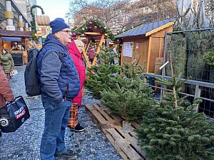 Prodej vánočních stromků - Anděl (u metra)