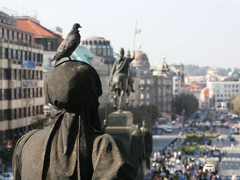 NEJHEZČÍ POHLED? Naskýtá se prý ze sedla koně. Václavák nyní moc krásy nenabízí. Ale snad se i sv. Václav jednou dočká.