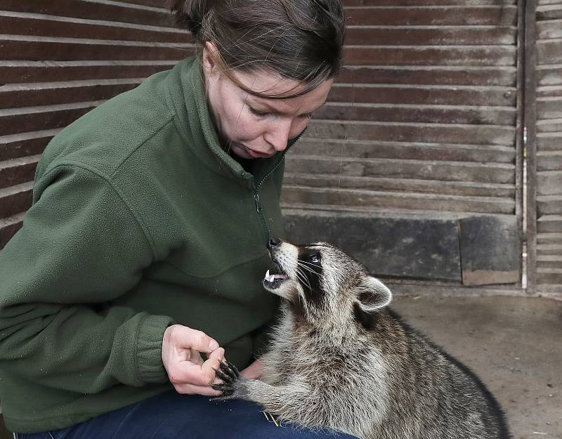 Zookoutek Malá Chuchle je zřízen u hájovny v Chuchelském háji v Malé Chuchli v Praze.