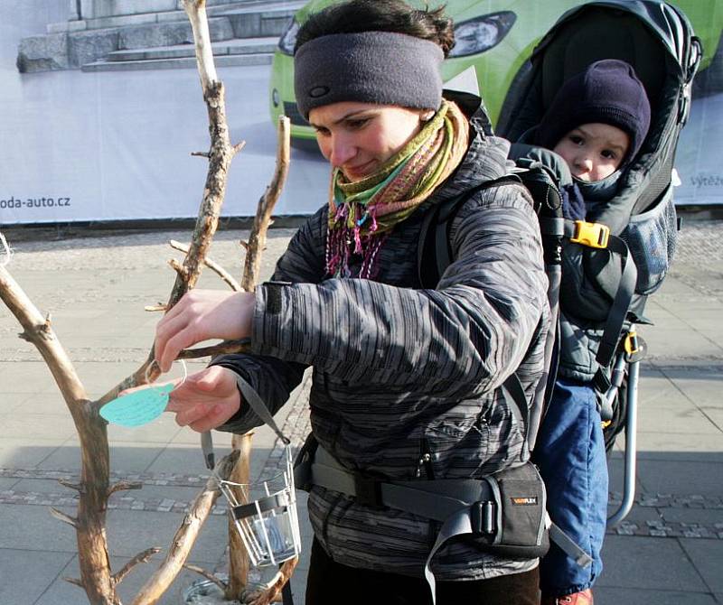 Na Palackého náměstí se v pondělí 30.ledna uskutečnil happening sdružení Arnika nazvaný Procházka poslední alejí, který upozorňuje na vládní novelu zákona umožňující silničářům volné kácení podél silnic.