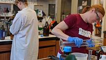 České vysoké učení technické (ČVUT) v Praze pomáhá v boji s koronavirem. Vědci vyrábějí repsirátory, dezinfekce či bezdotykové měření teploty.