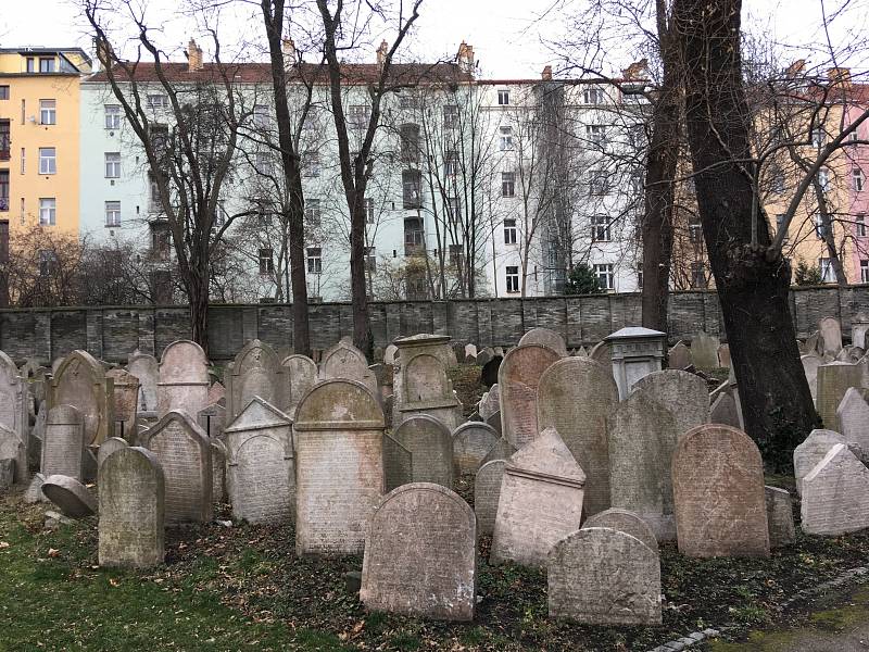 Židovský hřbitov na Žižkově najdete mezi paneláky a parkem