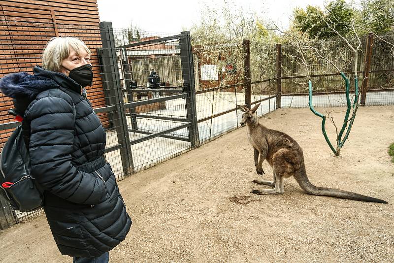 Otevření venkovních expozic v pražské zoologické zahradě v pondělí 12. dubna 2021.