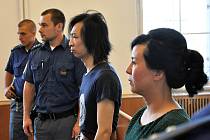Zmírnění trestu z deseti na sedm let vězení se dočkal u odvolacího senátu Vrchního soudu v Praze Quang Huy Tran z Vietnamu, který 13. prosince 2014 v Holušické ulici na Chodově v noci v opilosti napadl 23letou ženu - podle znalců kvůli sexuální deviaci.
