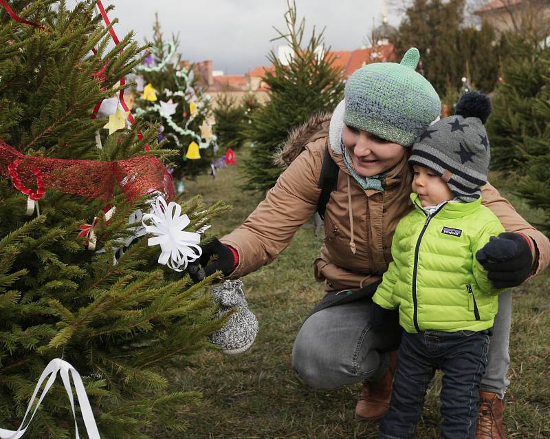 Akce Zdobit může každý – Zdobit bude každý. Soutěž o nejkrásnější vánoční stromeček v Loretánské zahradě.