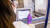 Laboratoř Fakultní nemocnice v Motole vyšetřila už několik tisíc vzorků na přítomnost koronaviru.