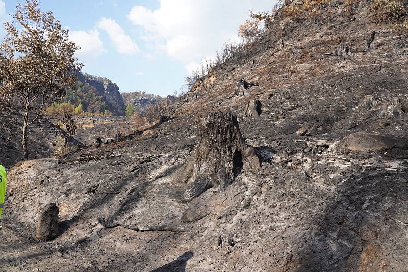 Hašení požáru v Hřensku a okolí.