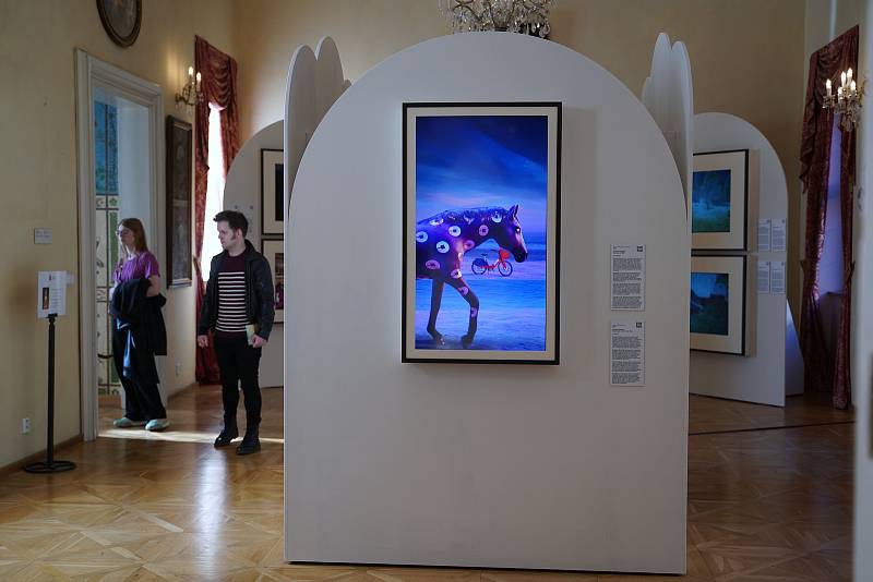 V historických prostorách Lobkowiczkého paláce na Pražském hradě se veřejnosti představí současné umění. Na výstavě, která je pro návštěvníky zdarma, se prezentuje celkem sedmnáct umělců z různých zemí světa a vystaveno bude více než 50 uměleckých děl.