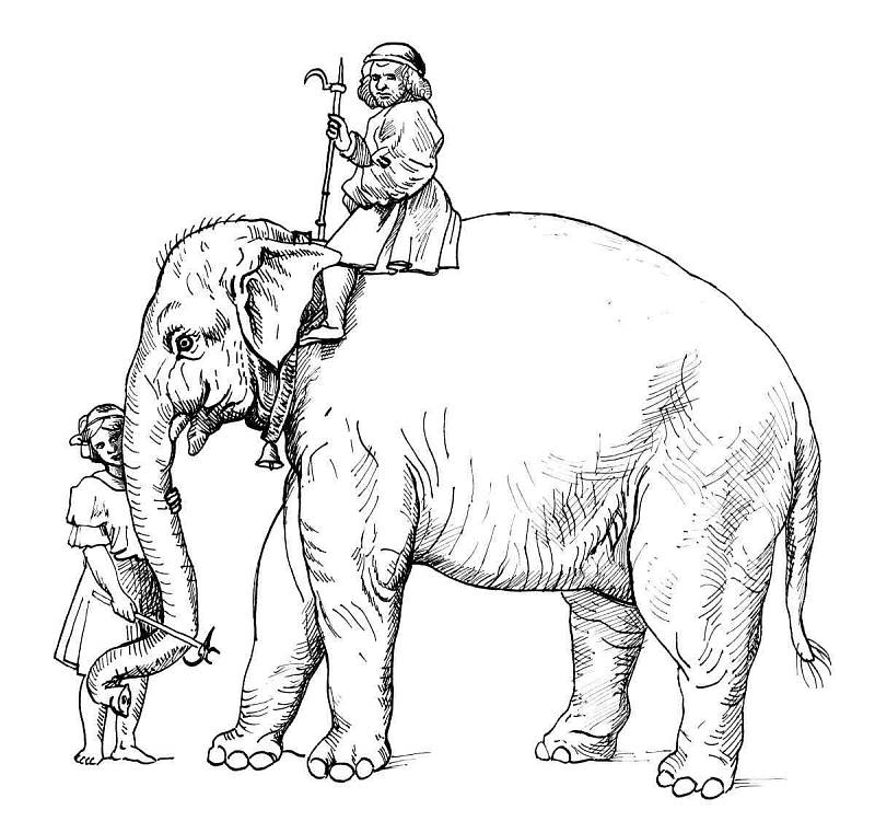 Hanno - jeden ze slavných slonů evropské historie.