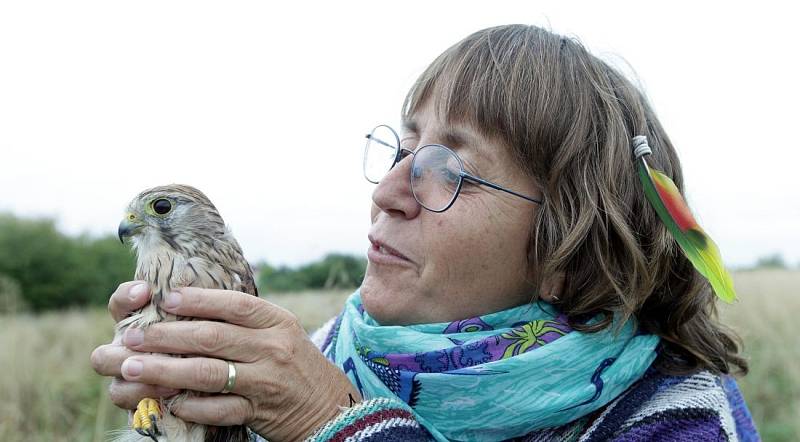 Herečka Bára Hrzánová vypouštěla na svobodu vyléčené poštolky