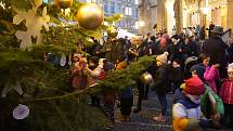 Slavnostní rozsvícení vánočního stromu na Strossmayerově náměstí.