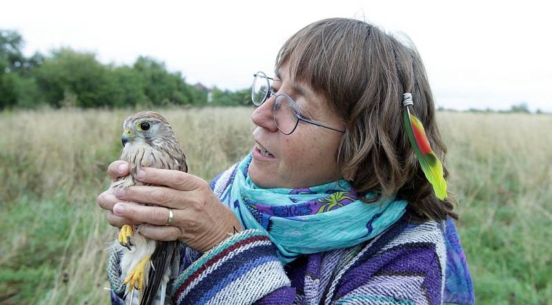 Herečka Bára Hrzánová vypouštěla na svobodu vyléčené poštolky