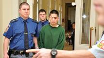Z vraždy se před Krajským soudem v Praze zpovídal 27letý Vietnamec Nguyen Ba Thinh, který ubodal 30letého krajana. Stalo se to 25. dubna 2014 večer v domě v Sokolovské ulici v Libni.