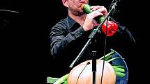 HRACÍ ZELENINA. Jeden z členů zeleninového orchestru a jeho okurkovo-papriková trumpeta. 