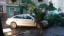 Wenzigova Praha 2, spadlý strom poškodil dvě zaparkovaná vozidla.