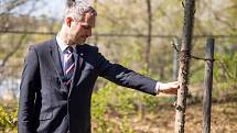 Zdeněk Hřib (Piráti) zasadil strom. V trojské botanické zahradě se stal pátým primátorem, který se zapojil do projektu Kořeny osobností.