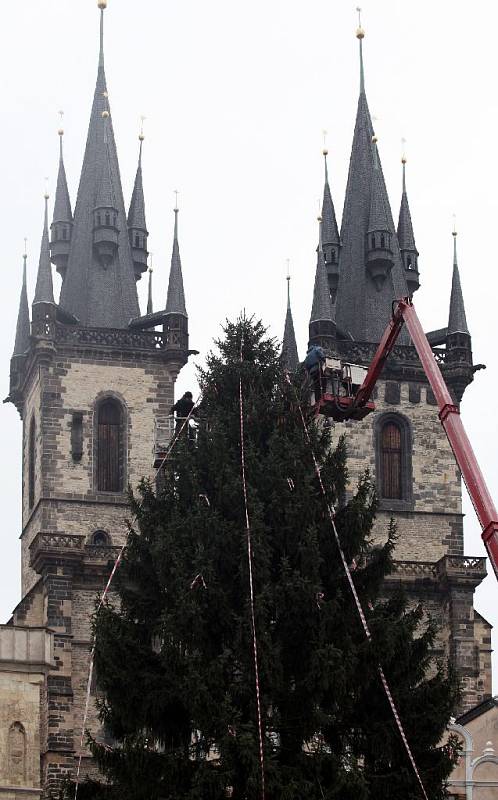 Zdobení vánočního stromu na Staroměstském náměstí 25. listopadu. 