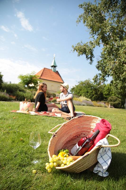 Pikinik v botanické zahradě hlavního města.