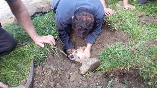 Vylekaný pes vběhl v obci Kaliště do odpadní trubky, ven ho museli vykopat hasiči.