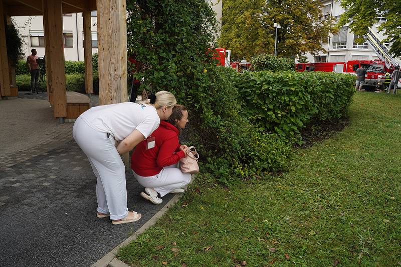 Rozsáhlejší požár, který na sebe upozornil z daleka viditelným kouřem, zachvátil v sobotu 27. srpna čtvrt hodiny po deváté hodině střechu jedné z budov v areálu Ústřední vojenské nemocnice v pražských Střešovicích