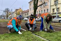 Tramvajovou trať v Bělohorské ulici na Břevnově zkoumají vědci. Dopravní podnik zde testuje speciální nízkoúdržbové travní koberce. Zalévání současných trávníků stojí 1,5 milionu korun ročně.